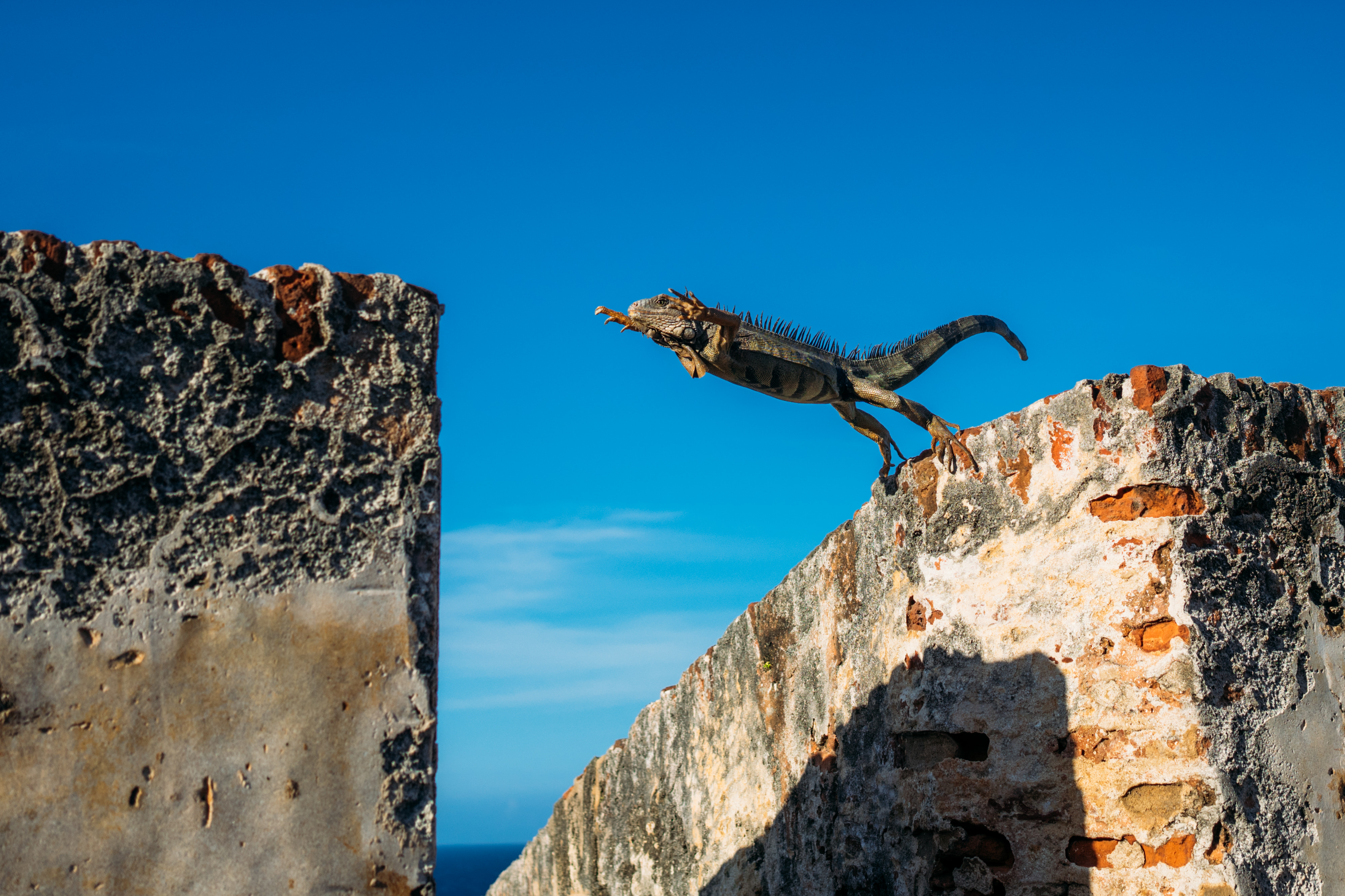 A photo by Denny Luan. unsplash.com/photos/ovm_b91yEgY